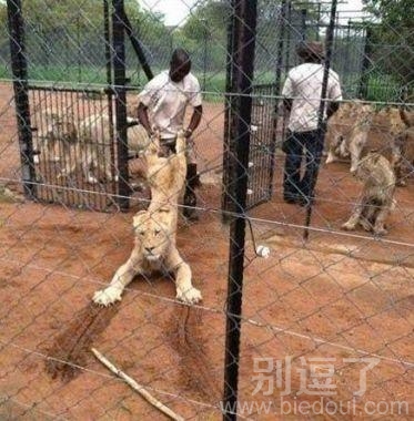 我就这样被拖走了!! 我就这样被拖走了!!