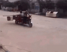 脑子大概是丢在半路了