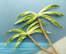 天涯海角风景最新版 天涯海角风景最新版