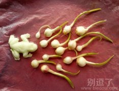 小蝌蚪找妈妈，没什么不对