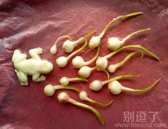 小蝌蚪找妈妈,没什么不对 小蝌蚪找妈妈,没什么不对