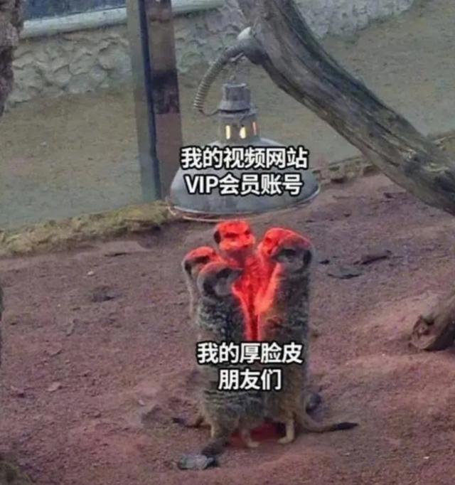 开心一刻:男朋友把烛光晚餐搞成了上供,这怕是阴间烛光晚餐 开心一刻:男朋友把烛光晚餐搞成了上供,这怕是阴间烛光晚餐