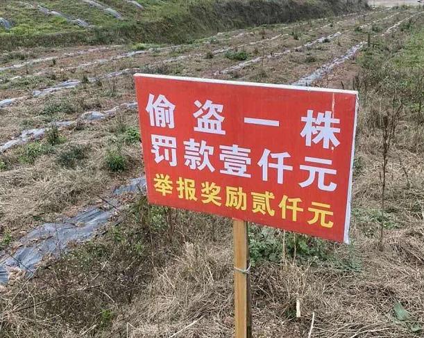 女同事非让我留下来吃饭,看见她我哪还有心思吃饭啊,我该咋办呢? 女同事非让我留下来吃饭,看见她我哪还有心思吃饭啊,我该咋办呢?