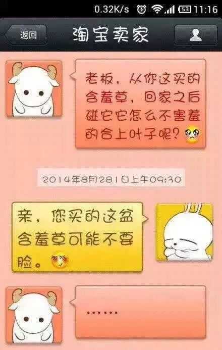 淘宝买害羞草 淘宝买害羞草