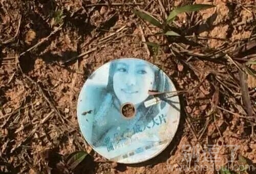 真的好想去捡起来呀 真的好想去捡起来呀