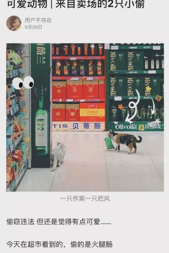 “男朋友拍的女票照片,结果...”哈哈哈劳资当场崩溃的节奏! “男朋友拍的女票照片,结果...”哈哈哈劳资当场崩溃的节奏!