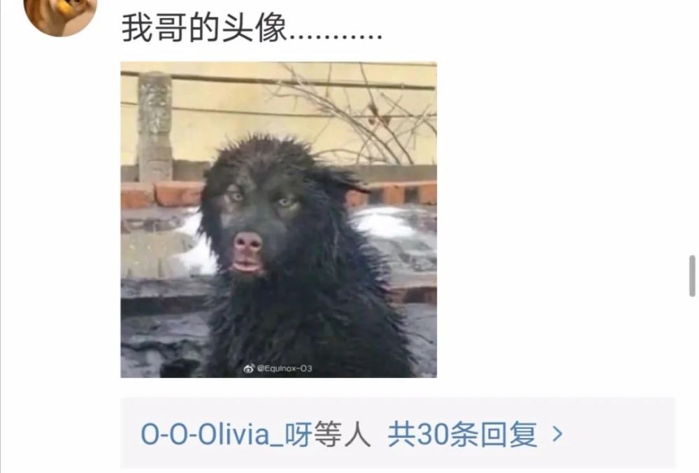 “头像的重要性有多大?我妈经常会把我拉黑!”哈哈哈……太逗了 “头像的重要性有多大?我妈经常会把我拉黑!”哈哈哈……太逗了
