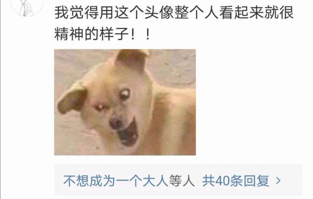 “头像的重要性有多大?我妈经常会把我拉黑!”哈哈哈……太逗了 “头像的重要性有多大?我妈经常会把我拉黑!”哈哈哈……太逗了