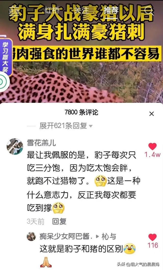 搞笑评论,村头特别情报小组 搞笑评论,村头特别情报小组