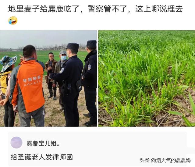 搞笑评论,村头特别情报小组 搞笑评论,村头特别情报小组