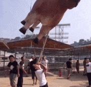 妹子,确定你没有穿错衣服就出来了,这身打扮看得我脸都红了