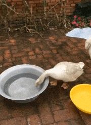 妹子,确定你没有穿错衣服就出来了,这身打扮看得我脸都红了