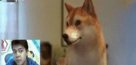 妹子,确定你没有穿错衣服就出来了,这身打扮看得我脸都红了