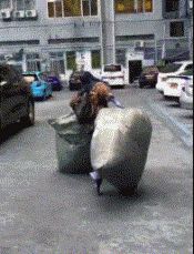 妹子,确定你没有穿错衣服就出来了,这身打扮看得我脸都红了