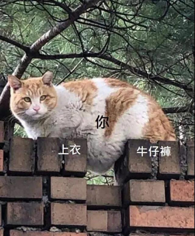 “钢铁直男到底有多难撩?”哈哈哈哈我笑到领导要送我去精神病院 “钢铁直男到底有多难撩?”哈哈哈哈我笑到领导要送我去精神病院