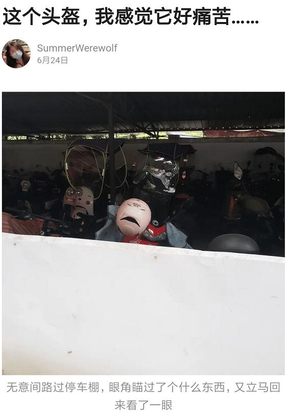 “要不要告诉这兄弟,他有可能被绿了?”信息量好大啊!哈哈哈 “要不要告诉这兄弟,他有可能被绿了?”信息量好大啊!哈哈哈