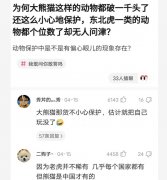 “为何大熊猫都突破一千头了还在保护，东北虎都个位数了还无人问津？”哈哈哈哈