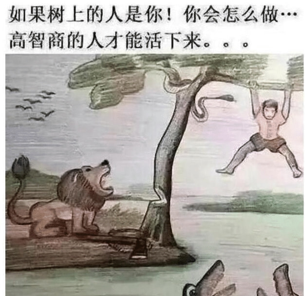 “为何大熊猫都突破一千头了还在保护，东北虎都个位数了还无人问津？”哈哈哈哈