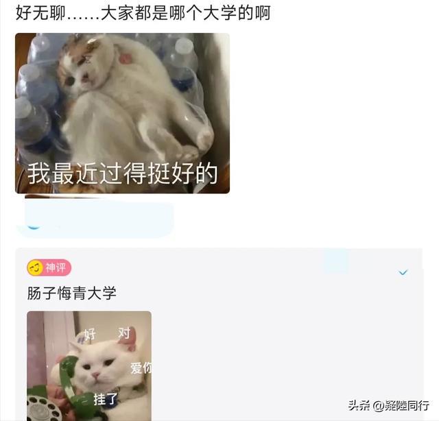 爆笑神回复：正常人长期禁欲是什么感受？无欲则刚，有多刚？