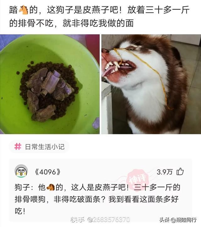 爆笑神回复:正常人长期禁欲是什么感受?无欲则刚,有多刚? 爆笑神回复:正常人长期禁欲是什么感受?无欲则刚,有多刚?