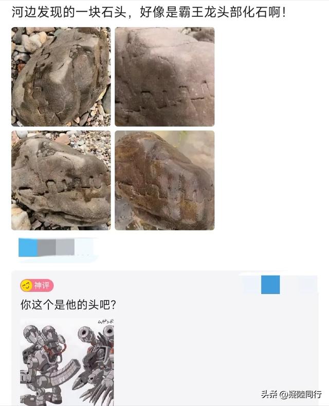 爆笑神回复：正常人长期禁欲是什么感受？无欲则刚，有多刚？