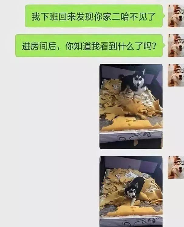 “主播你的胸掉了?直播中出现的超尴尬意外…” “主播你的胸掉了?直播中出现的超尴尬意外…”