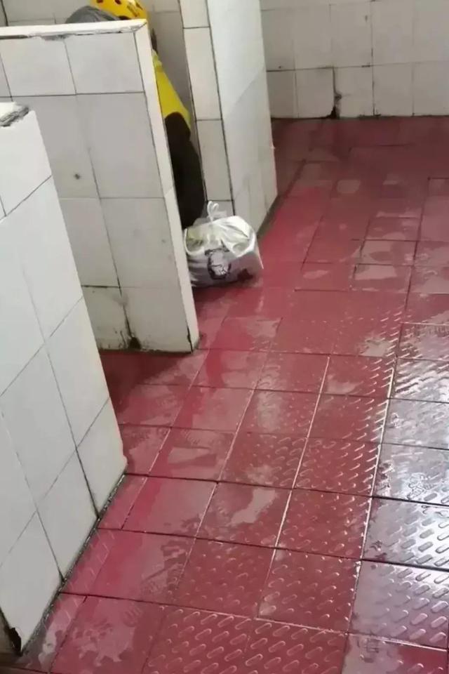 搞笑GIF:我感觉刚才受的那一点委屈已经不算什么了 搞笑GIF:我感觉刚才受的那一点委屈已经不算什么了