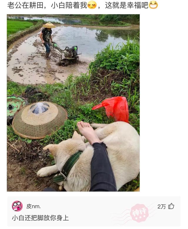爆笑趣图:丈夫每天出门都要化妆,妻子实在受不了把他胖揍一顿 爆笑趣图:丈夫每天出门都要化妆,妻子实在受不了把他胖揍一顿
