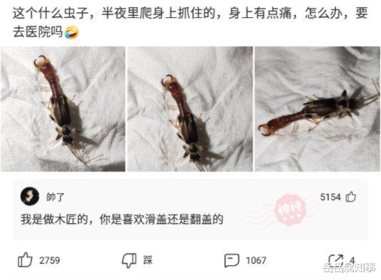 神回复:“驾校里都是没驾驶证的人在开车,交警为什么不去驾校里抓人呢?” 神回复:“驾校里都是没驾驶证的人在开车,交警为什么不去驾校里抓人呢?”