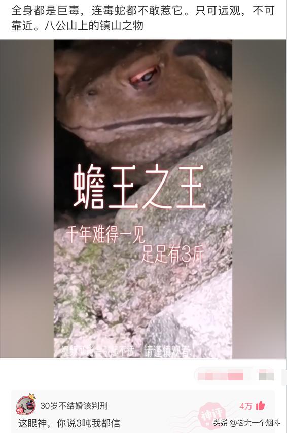 幽默段子:我36岁,九成新,没被男人碰过,初吻还在 幽默段子:我36岁,九成新,没被男人碰过,初吻还在