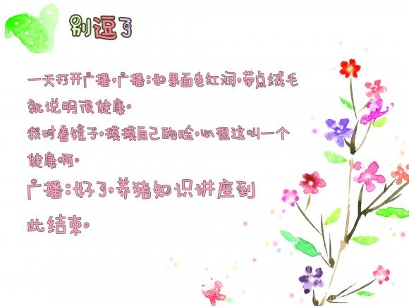 养猪知识讲座到此结束 养猪知识讲座到此结束