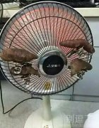 这样的男人不好找了 这样的男人不好找了