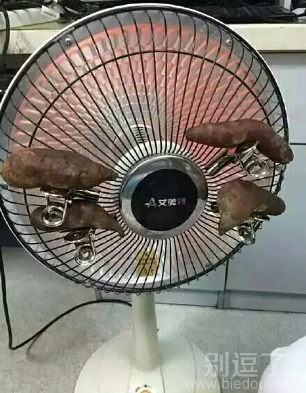 这样的男人不好找了