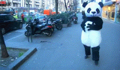 姑娘你这是假摔吗