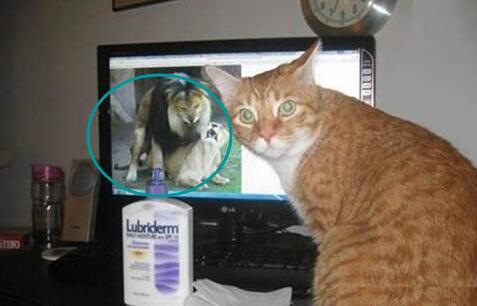 偷看片被抓现行 偷看片被抓现行