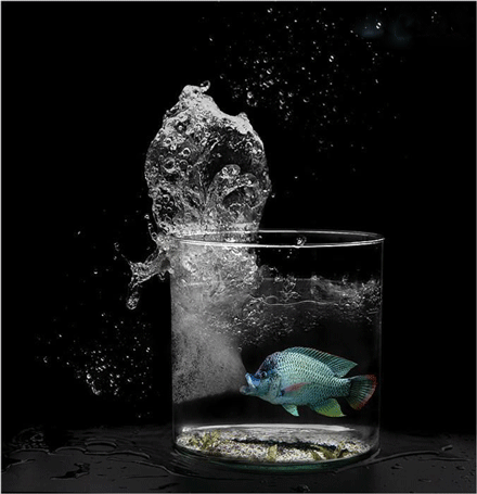 笑话图片 好强的一口气 笑话图片 好强的一口气