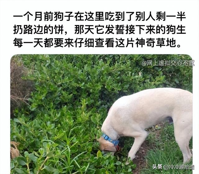 爆笑囧图神评论~真的没感觉吗?要不我再加一根手指试试? 爆笑囧图神评论~真的没感觉吗?要不我再加一根手指试试?