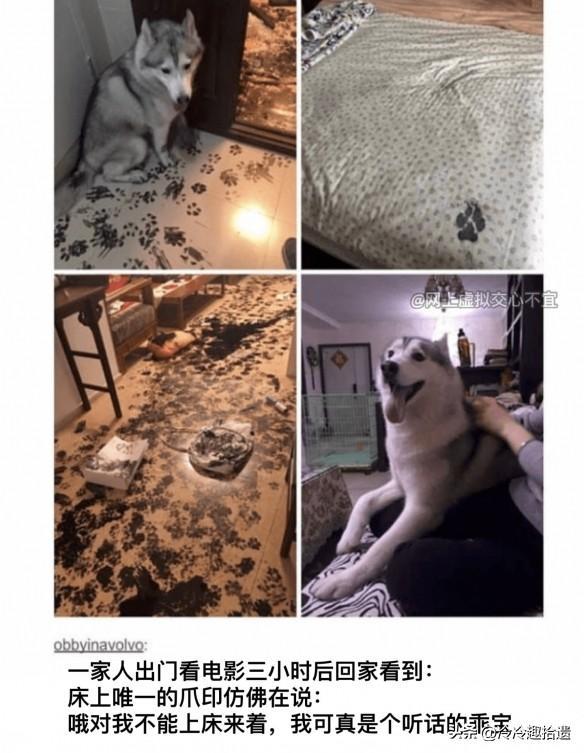 爆笑囧图神评论~真的没感觉吗?要不我再加一根手指试试? 爆笑囧图神评论~真的没感觉吗?要不我再加一根手指试试?