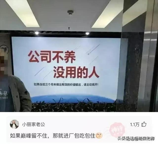 神评爆笑合集:如何一句话气到懂电脑的人?给我下载一些QQ币 神评爆笑合集:如何一句话气到懂电脑的人?给我下载一些QQ币