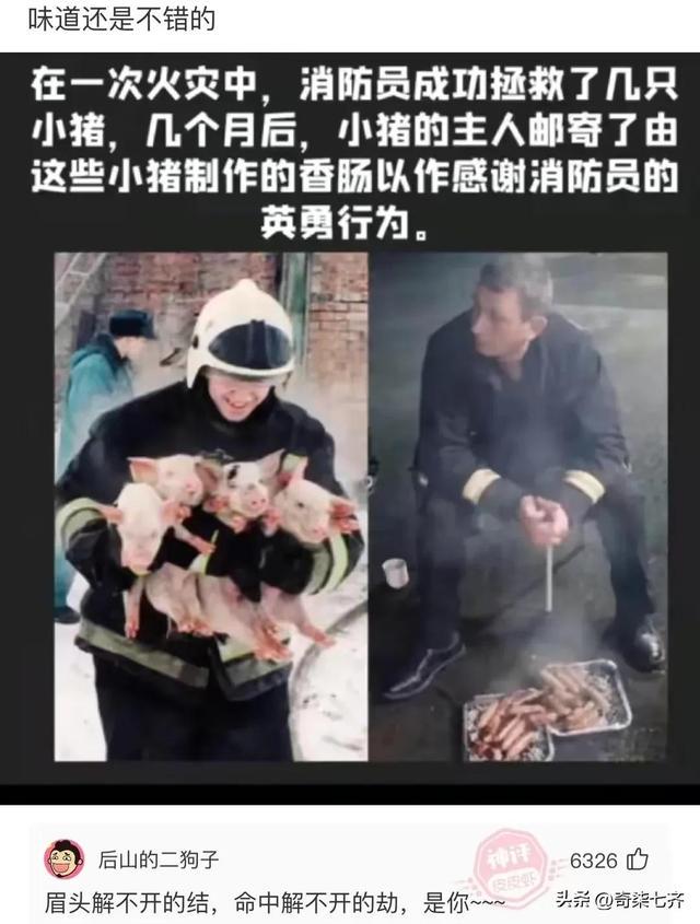 神评爆笑合集：如何一句话气到懂电脑的人？给我下载一些QQ币