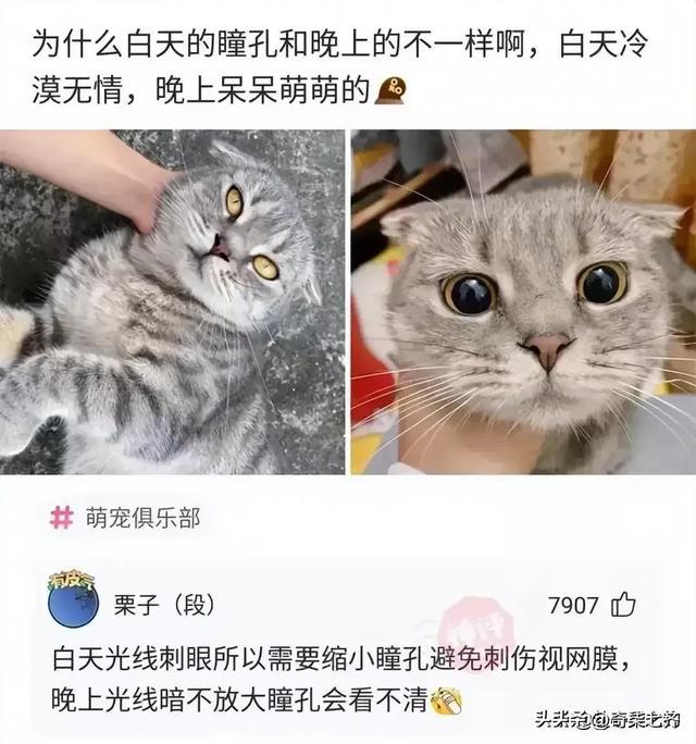 神评爆笑合集:如何一句话气到懂电脑的人?给我下载一些QQ币 神评爆笑合集:如何一句话气到懂电脑的人?给我下载一些QQ币