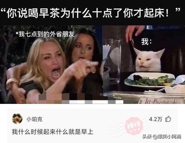 神评论:睡觉的时候,妈妈把我脸上,盖上了布!太吓人了 神评论:睡觉的时候,妈妈把我脸上,盖上了布!太吓人了