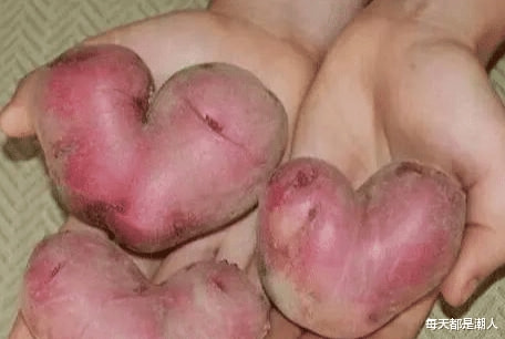 神回复：泾河龙王下雨少了点就被砍了，为何其他龙王和妖精随便下却没事？