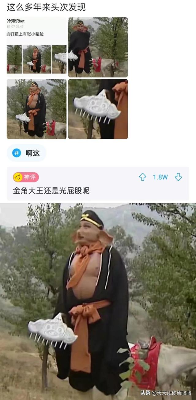 神回复:有人中过新冠病毒吗,中招后会怎样?神评这是要笑死我啊 神回复:有人中过新冠病毒吗,中招后会怎样?神评这是要笑死我啊