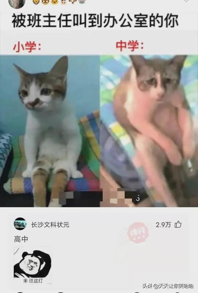 神回复:有人中过新冠病毒吗,中招后会怎样?神评这是要笑死我啊 神回复:有人中过新冠病毒吗,中招后会怎样?神评这是要笑死我啊