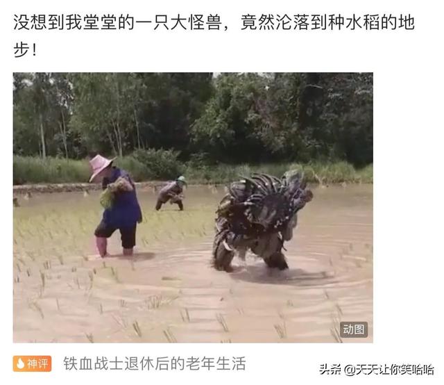 神回复:有人中过新冠病毒吗,中招后会怎样?神评这是要笑死我啊 神回复:有人中过新冠病毒吗,中招后会怎样?神评这是要笑死我啊