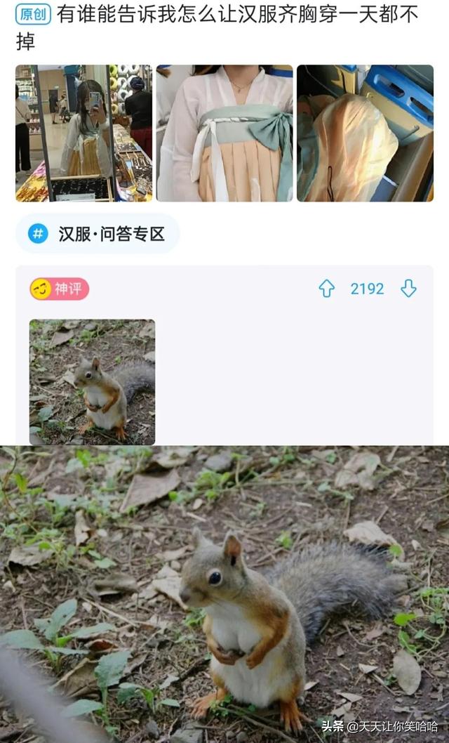 神回复:有人中过新冠病毒吗,中招后会怎样?神评这是要笑死我啊 神回复:有人中过新冠病毒吗,中招后会怎样?神评这是要笑死我啊