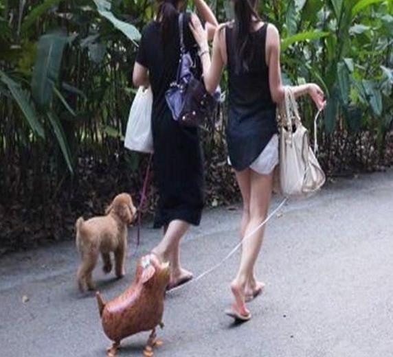 坐火车的时候,对面的妹子就这样躺下了...哈哈哈这有点尴尬吧 坐火车的时候,对面的妹子就这样躺下了...哈哈哈这有点尴尬吧