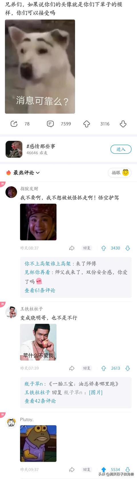 爆笑神回复:姐妹们,买卫生巾千万别买薄荷味的 爆笑神回复:姐妹们,买卫生巾千万别买薄荷味的
