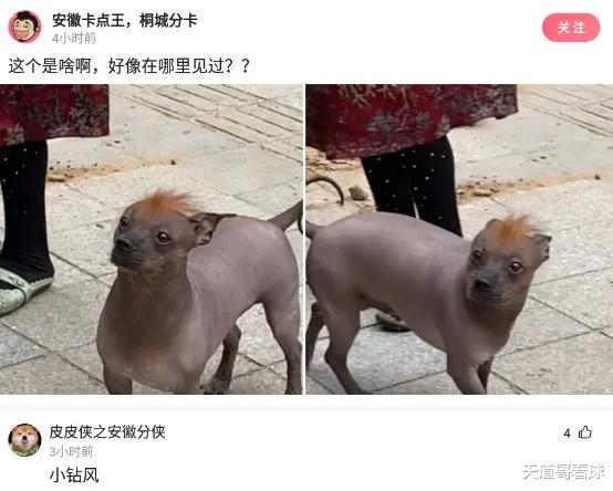 “这个老兄上班打游戏,被老板发现,老板帮他换了一个50寸的屏幕!”哈哈哈 “这个老兄上班打游戏,被老板发现,老板帮他换了一个50寸的屏幕!”哈哈哈